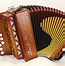 Image result for Diatonic Button Accordion