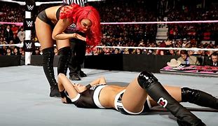 Image result for Brie Bella and Eva Marie