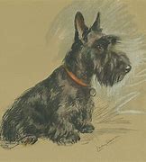 Image result for Scottish Terrier Print
