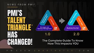 Image result for PMP Triangle