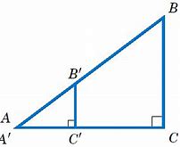 Image result for Things Measured in Centimeters