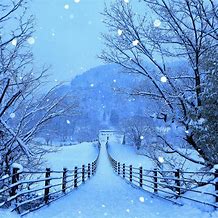 Image result for Winter Background Wallpaper iPad