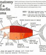 Image result for Swim Fin Size Chart