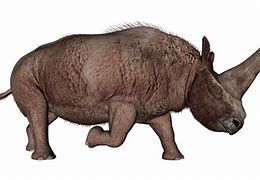 Image result for Rhino Unicorn Ice Age