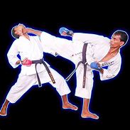 Image result for Karate Kick Image
