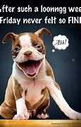 Image result for TGIF Funny Quotes Humor