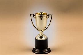 Image result for World Record Trophy