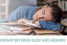 Image result for The Significance of Sleep for Memory