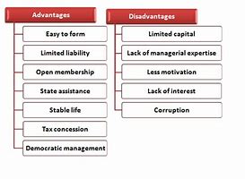 Image result for Cooperative Advantages and Disadvantages