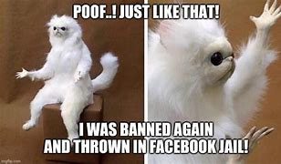 Image result for 29 Day Ban Facebook Meme