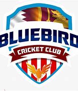 Image result for Bluebird Cricket Game