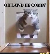 Image result for Fat Cat OH Lawd He Comin Chart