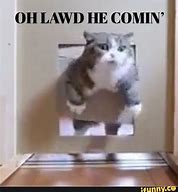 Image result for Fat Cat OH Lawd He Comin