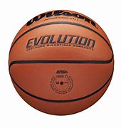 Image result for Wilson Evolution Basketball