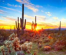Image result for Arizona Desert Wallpaper 4K