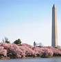 Image result for America Landmarks