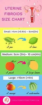 Image result for Fibroids Sizes Compared to Fruit