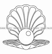 Image result for Quahog Clam Pearl
