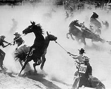 Image result for Calgaary Stampede Wild Horse Race