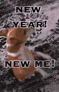 Image result for Happy New Year Dog Meme