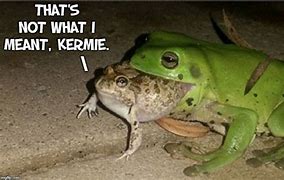 Image result for Cane Toad Meme