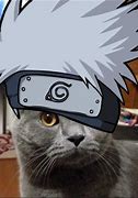 Image result for Sad Cat Meme Naruto