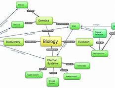 Image result for Pioneer Meaning in Biology