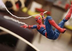 Image result for Spider Cricket