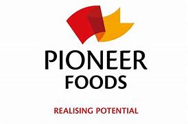 Image result for Pioneer Corporation Africa Logo
