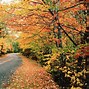 Image result for Maine Fall Foilage Pictures