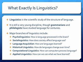 Image result for What Is Linguistics PPT