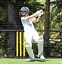 Image result for Bas Cricket Gear