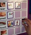 Image result for Pre-K 5 Senses Activities