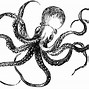 Image result for Funny Octopus Clip Art