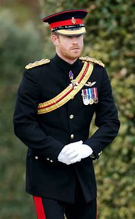 Image result for Prince Harry in Uniform