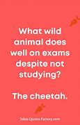 Image result for Funny Matric Final Exam Jokes