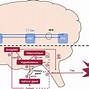 Image result for Difference Between Drhg Abuse and Drug Dependence