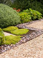 Image result for Garden Stepping Stones Walkway