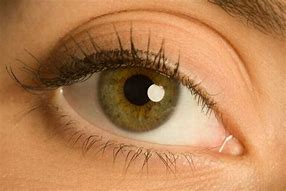 Image result for Different Types of Hazel Eyes