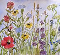 Image result for Wildflower Watercolor Paintings