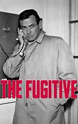 Image result for "The Fugitive 1963"