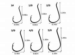 Image result for Circle Hook Size Nickel
