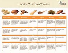 Mushroom Varieties Chart 2012 Mushroom Council