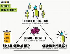 Image result for Human Gender Differences