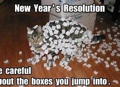 Image result for New Year Animal Meme