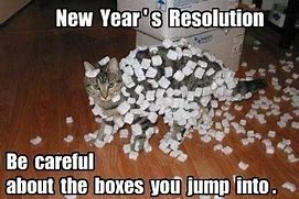 Image result for New Year Resolutions Funny Cats
