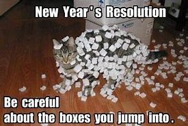 Image result for LOL Cat New Year's