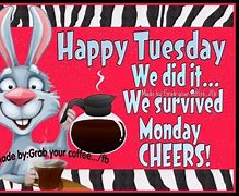 Image result for Happy Tuesday Unicorn Meme