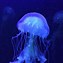 Image result for Things That Are Blue