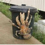 Image result for Coconut Crab Garbage Can